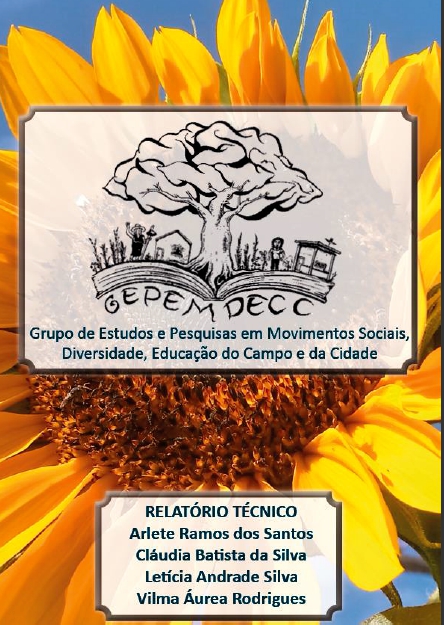 Capa do relatório: Relatório 2022d