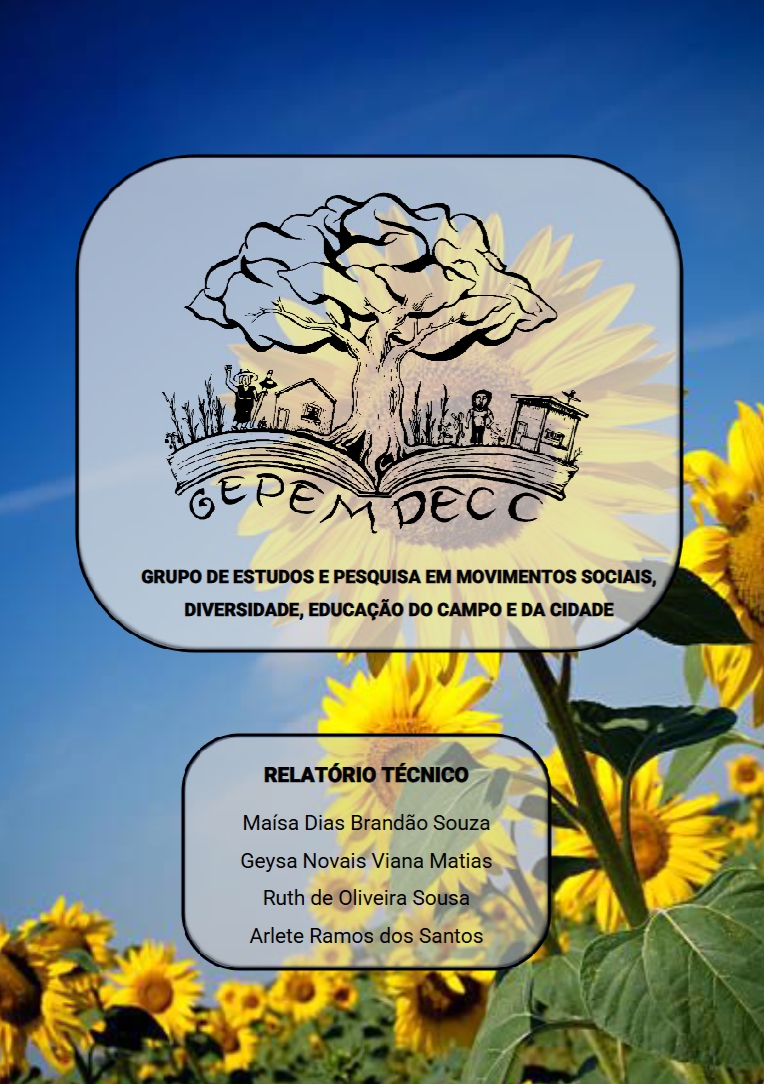 Capa do relatório: RELATÓRIO TÉCNICO 6 - Bacia do Paramirim